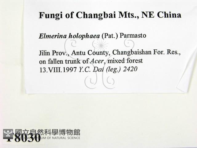 登錄號:F0008030藏品圖，第2張