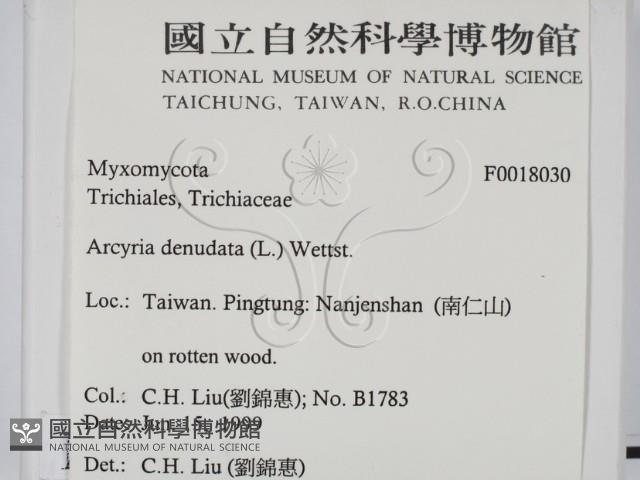 登錄號:F0018030藏品圖，第2張