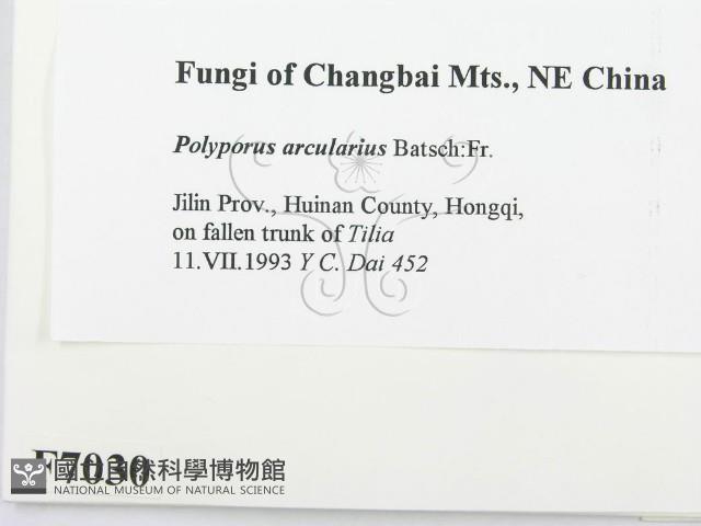 登錄號:F0007030藏品圖，第2張