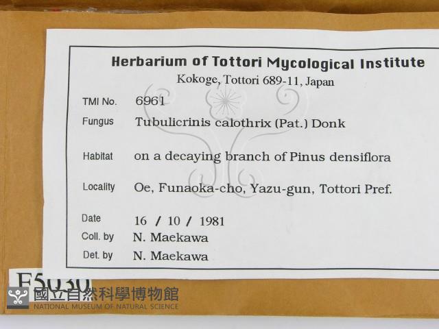 登錄號:F0005030藏品圖，第2張