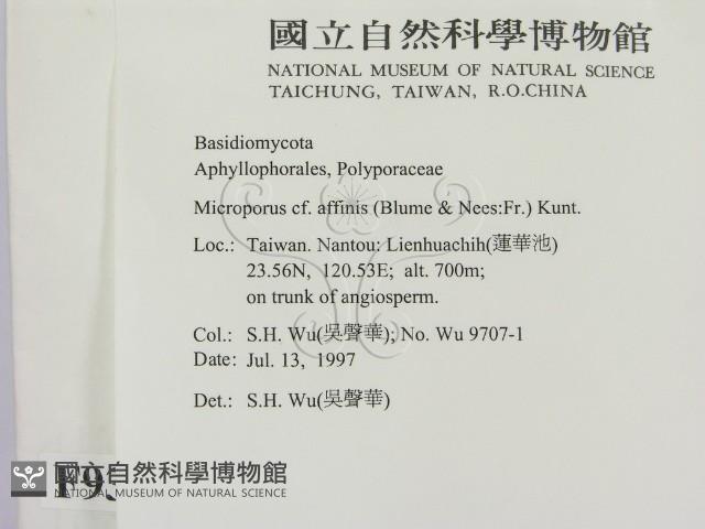 登錄號:F0009330藏品圖，第2張