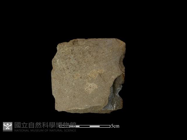 磨製斧鋤形器藏品圖，第2張