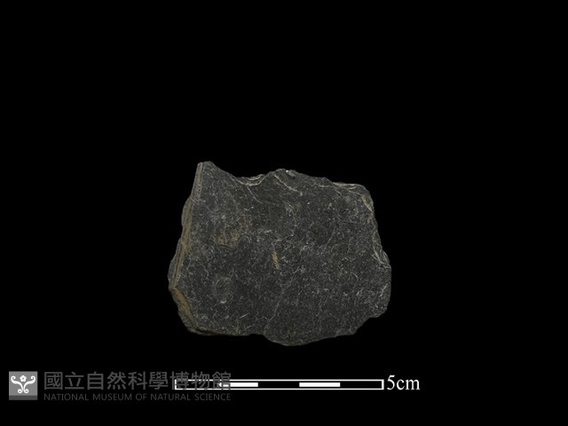 帶加工痕石材藏品圖，第1張