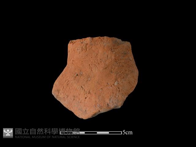 連杯形器藏品圖，第1張