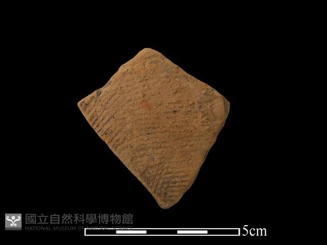 陶片藏品圖，第1張