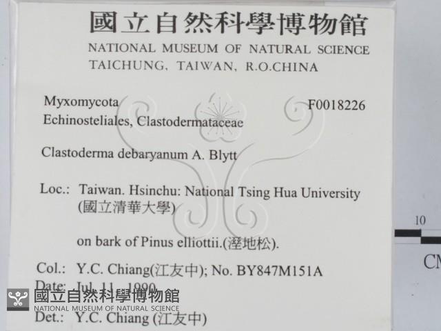 登錄號:F0018226藏品圖，第2張