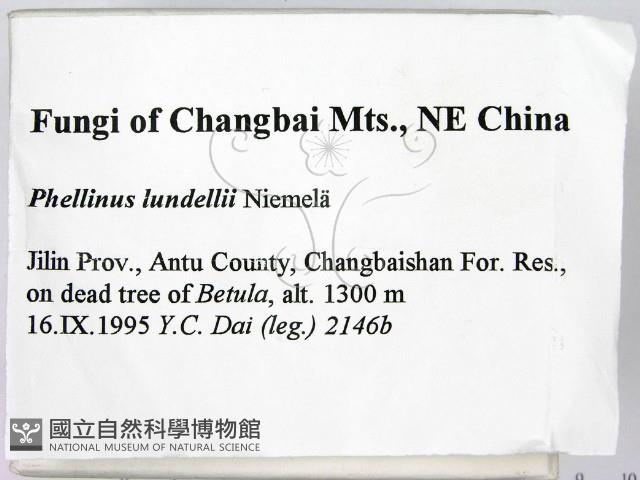 登錄號:F0006226藏品圖，第2張