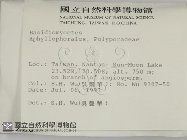 登錄號:F0001226藏品圖，第2張
