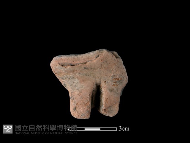 陶罐藏品圖，第1張