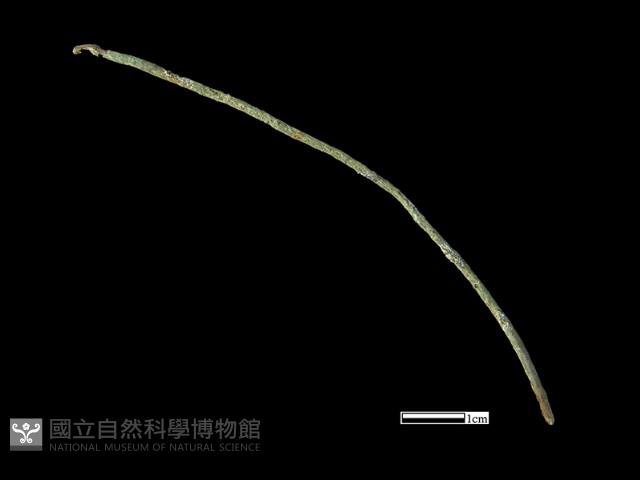 髮簪藏品圖，第1張