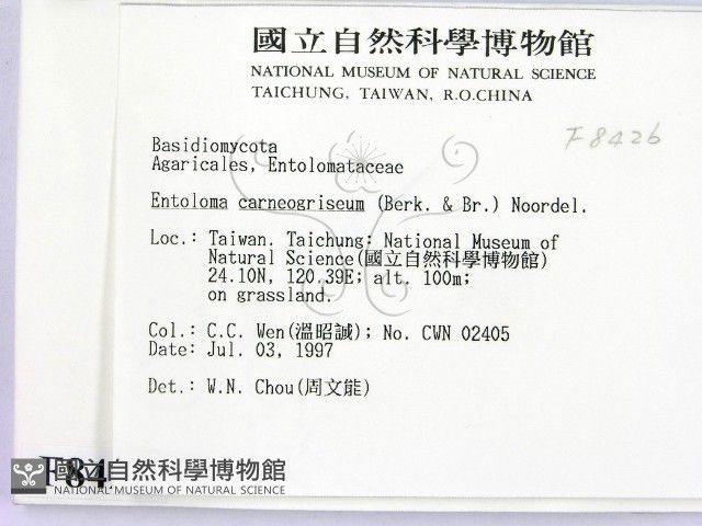 登錄號:F0008426藏品圖，第2張
