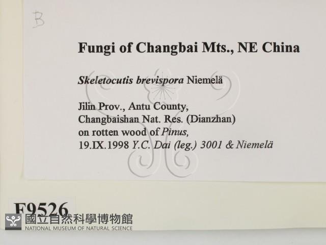 登錄號:F0009526藏品圖，第2張