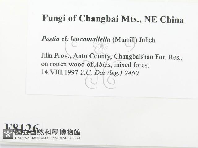 登錄號:F0008126藏品圖，第2張