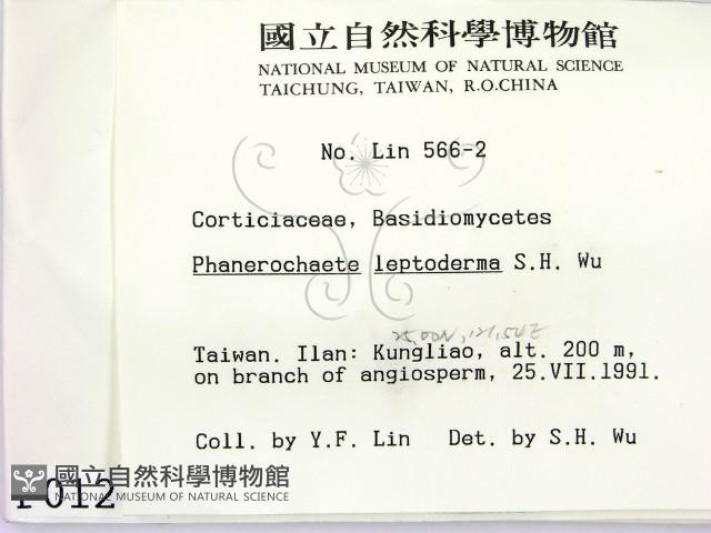 登錄號:F0000126藏品圖，第2張