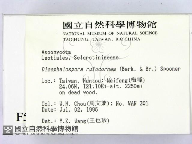 登錄號:F0005126藏品圖，第2張