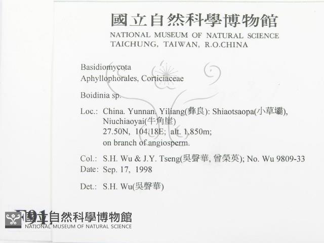 登錄號:F0009126藏品圖，第2張