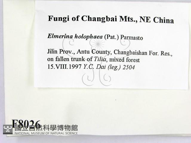 登錄號:F0008026藏品圖，第2張