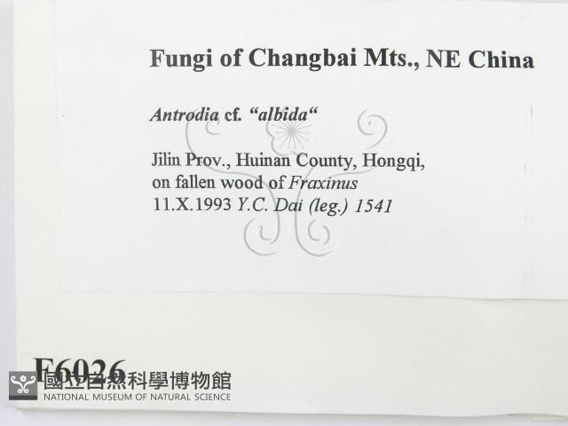 登錄號:F0006026藏品圖，第2張