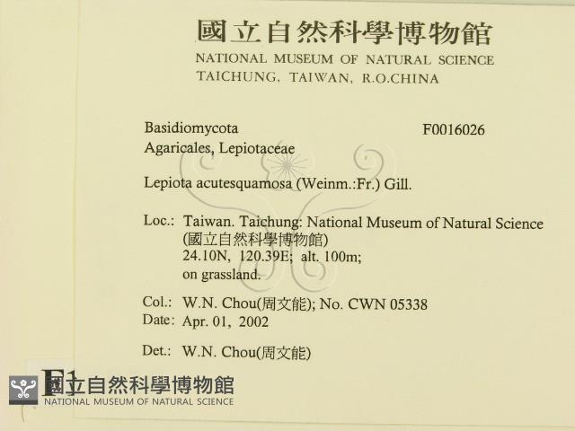 登錄號:F0016026藏品圖，第2張