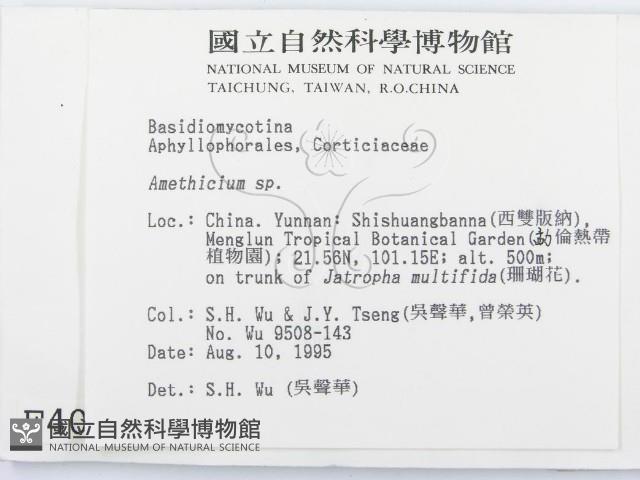 登錄號:F0004026藏品圖，第2張