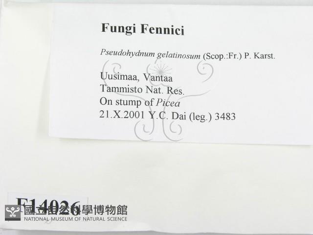 登錄號:F0014026藏品圖，第2張