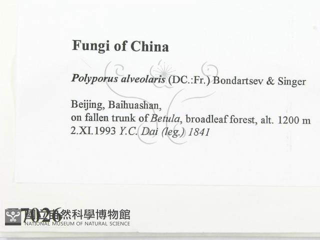 登錄號:F0007026藏品圖，第2張