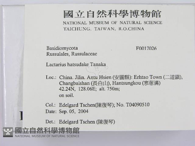 登錄號:F0017026藏品圖，第2張