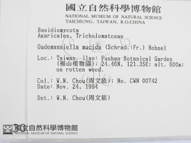 登錄號:F0003026藏品圖，第2張