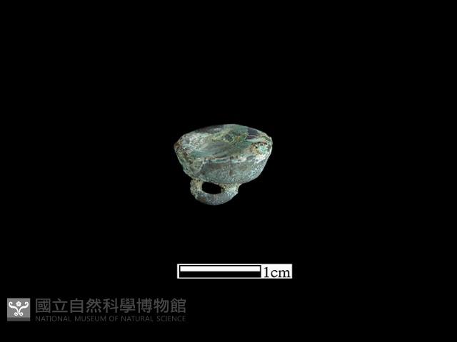 鈕子藏品圖，第2張