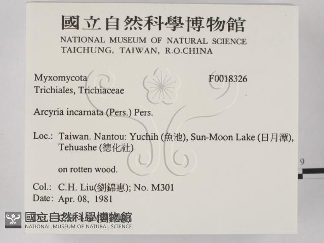 登錄號:F0018326藏品圖，第2張
