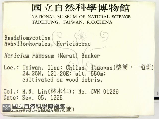 登錄號:F0004326藏品圖，第2張