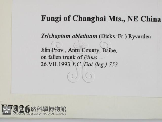 登錄號:F0007326藏品圖，第2張