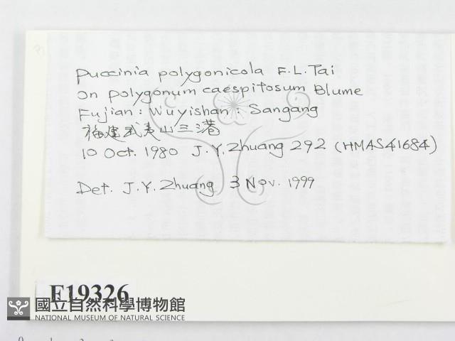 登錄號:F0019326藏品圖，第2張