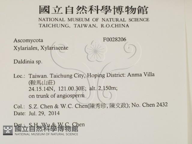登錄號:F0028206藏品圖，第2張