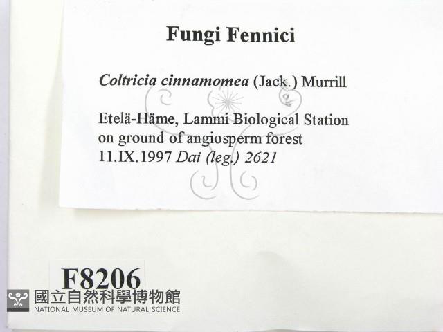 登錄號:F0008206藏品圖，第2張