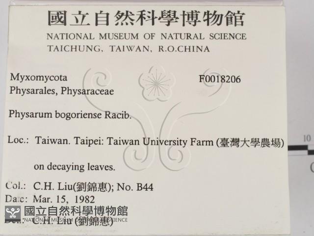 登錄號:F0018206藏品圖，第2張