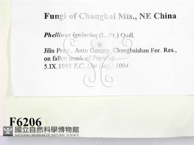 登錄號:F0006206藏品圖，第2張