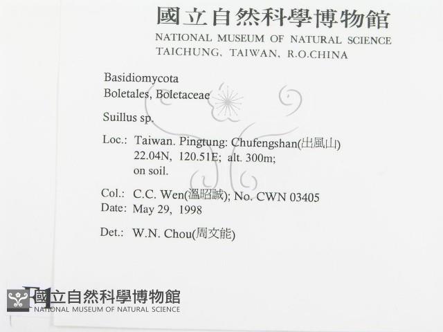 登錄號:F0011206藏品圖，第2張