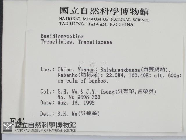 登錄號:F0004206藏品圖，第2張