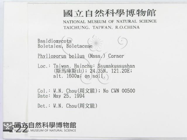 登錄號:F0002206藏品圖，第2張
