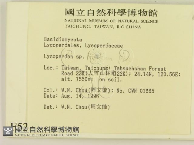 登錄號:F0005206藏品圖，第2張