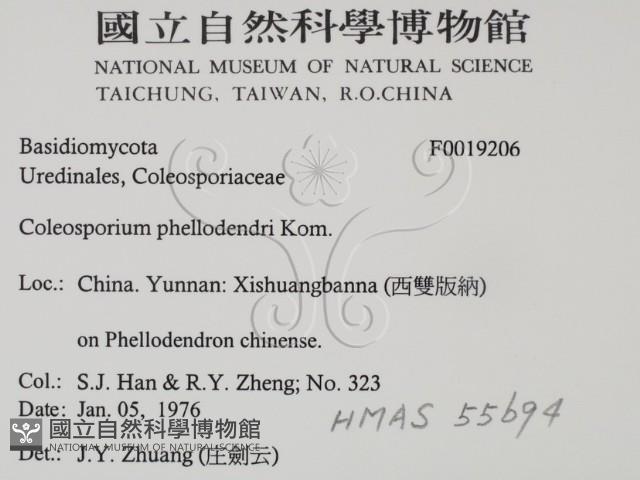 登錄號:F0019206藏品圖，第2張