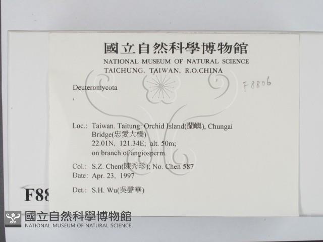 登錄號:F0008806藏品圖，第2張