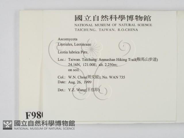登錄號:F0009806藏品圖，第2張
