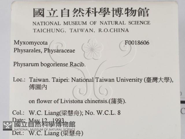 登錄號:F0018606藏品圖，第2張