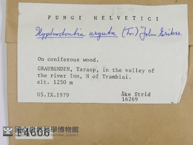 登錄號:F0004606藏品圖，第2張