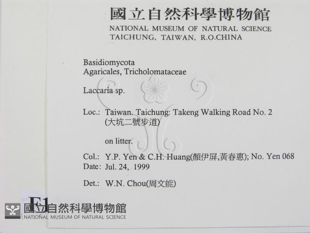 登錄號:F0015606藏品圖，第2張