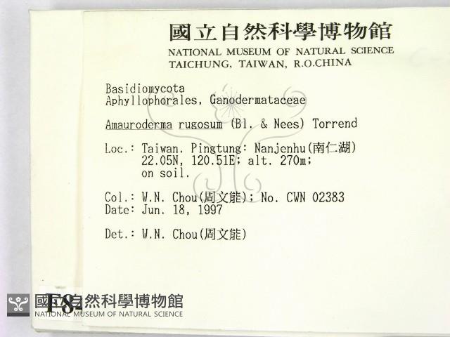 登錄號:F0008406藏品圖，第2張