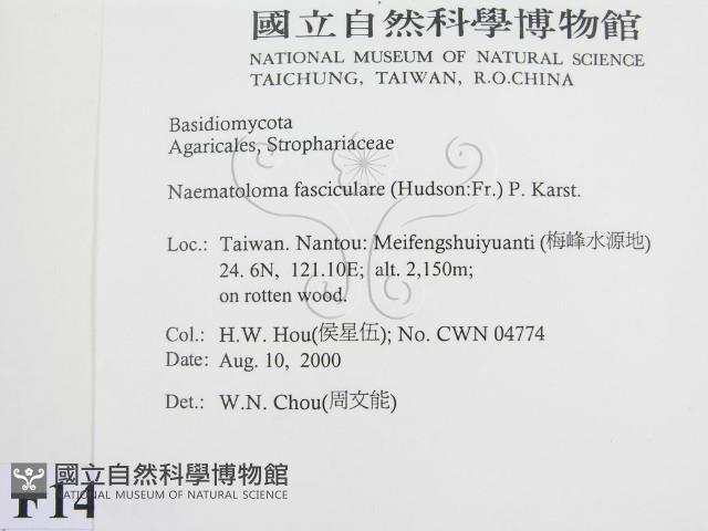 登錄號:F0014406藏品圖，第2張