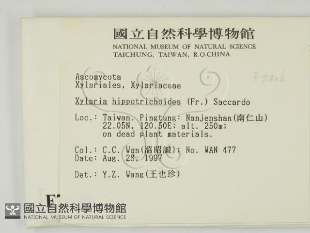 登錄號:F0007406藏品圖，第2張